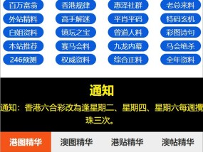 新澳内部资料精准一码，一码一肖 期期公开 中特_精选解释落实将深度解析_网页版v632.229