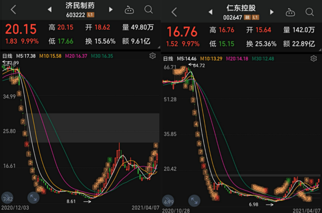 广发证券，杨行深入解析——K线小白如何逆袭成实盘大神，广发证券杨行解析，K线小白如何逆袭成实盘大神的秘诀